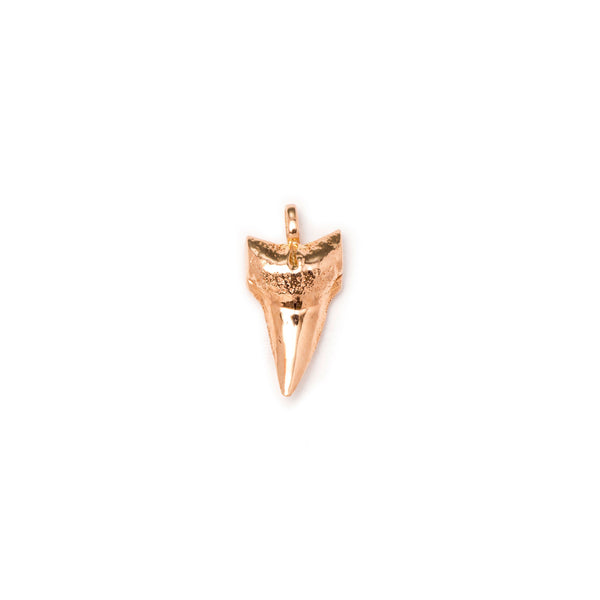 Shark Tooth Charm